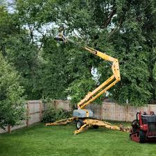 Best Sod Installation  in Ebensburg, PA