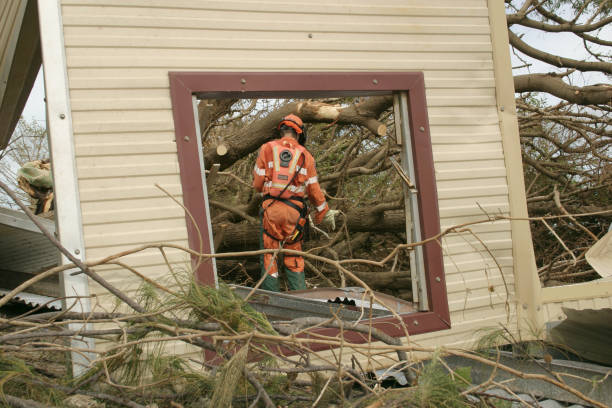 Best Stump Grinding and Removal  in Ebensburg, PA